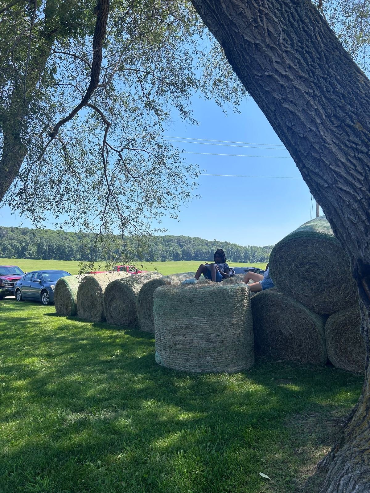 Past farm event photo 9