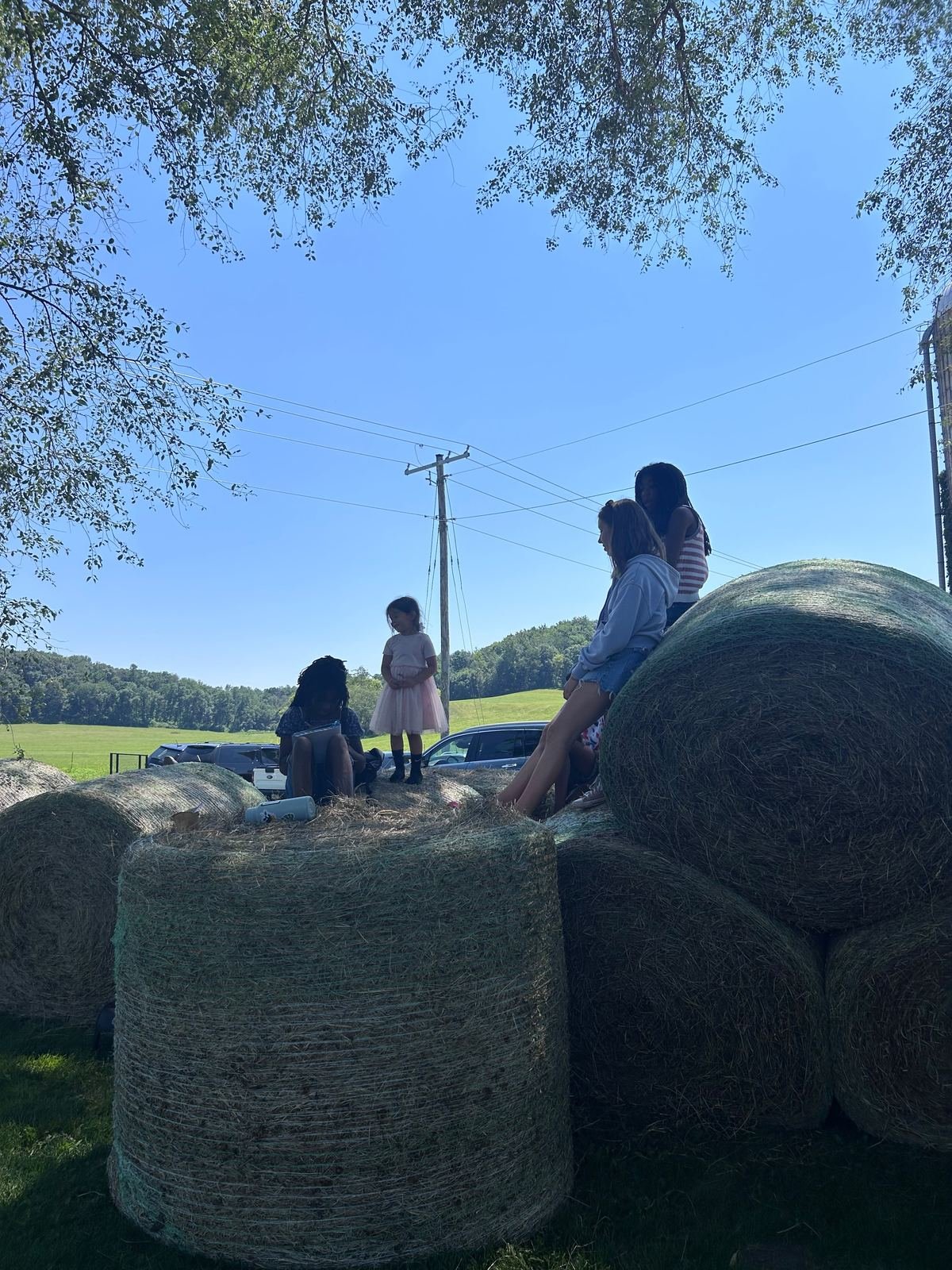 Past farm event photo 11